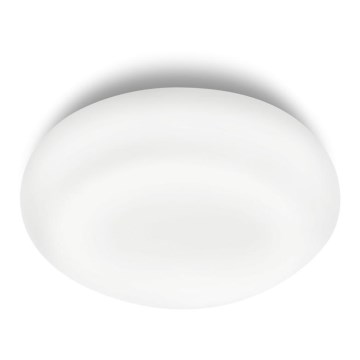 Philips Massive 32066/31/10 - Kopalniška stropna svetilka 1xE27/60W/230V IP44