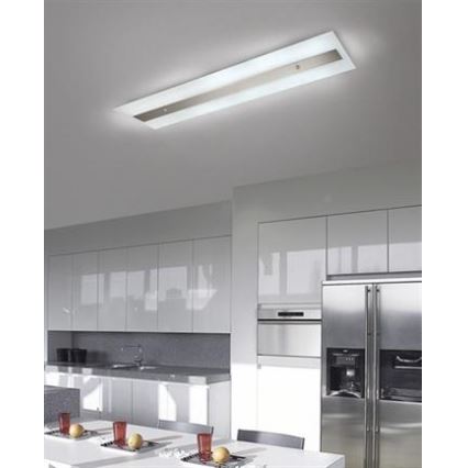 Philips Massive 85115/14/31 - Stropna nadgradna svetilka DECOLINE 2xG5/14W/230V