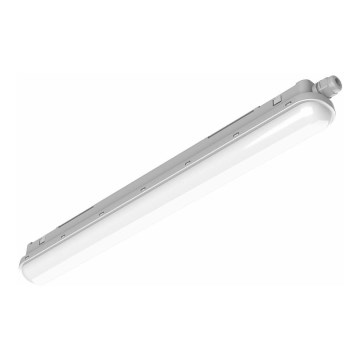 Philips Pila - LED tehnično cevasto svetilo LED/60W/230V 150 cm IP65