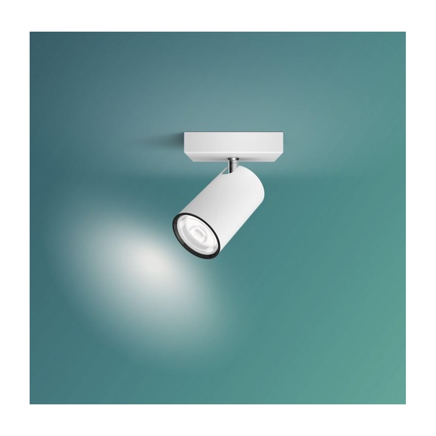 Philips - Reflektor KOSIPO 1xGU10/5,5W/230V bela