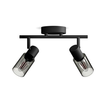 Philips - Reflektor PALMS 2xE14/25W/230V