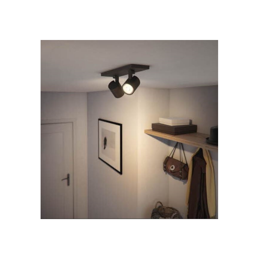 Philips - Reflektor RUNNER 2xGU10/20W/230V črna