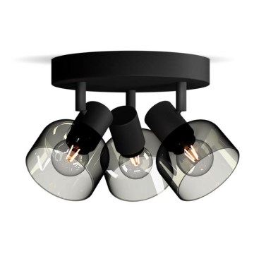 Philips - Reflektor SLEET 3xE14/25W/230V