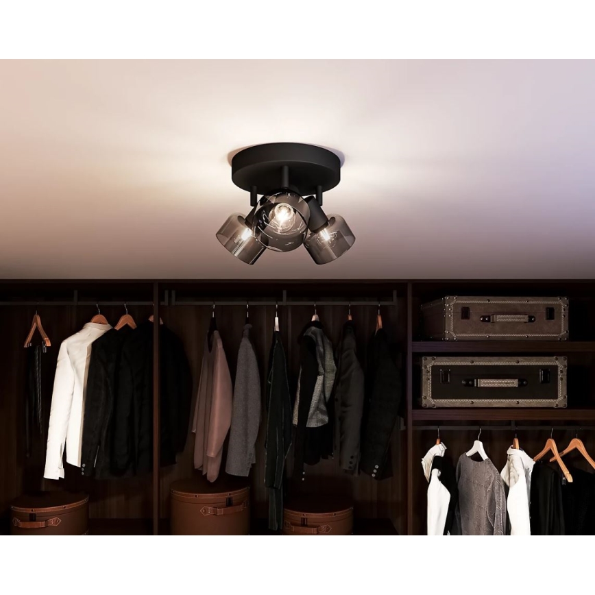 Philips - Reflektor SLEET 3xE14/25W/230V