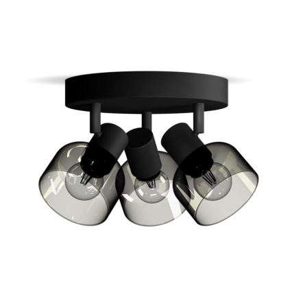 Philips - Reflektor SLEET 3xE14/25W/230V