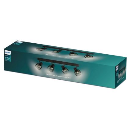 Philips - Reflektor SLEET 4xE14/25W/230V