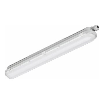Philips - Tehnično LED cevno svetilo CORELINE LED/25W/230V 120 cm IP66