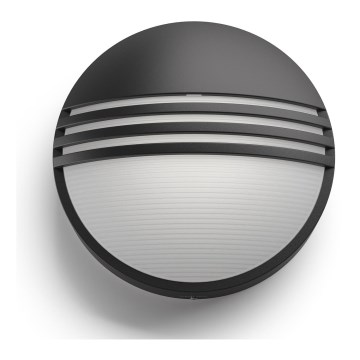 Philips - zunanja LED stenska svetilka LED/6W/230V IP44