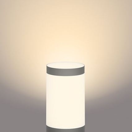 Philips - zunanja LED svetilka GARDENLINK, 6 W, 230 V, 2700 K, IP44