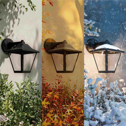 Philips - Zunanja stenska svetilka JULI 1xE27/25W/230V IP44