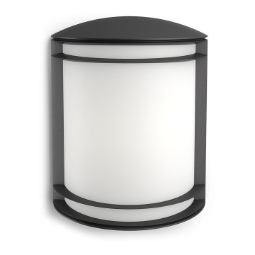 Philips - Zunanja stenska svetilka LED/6W/230V IP44