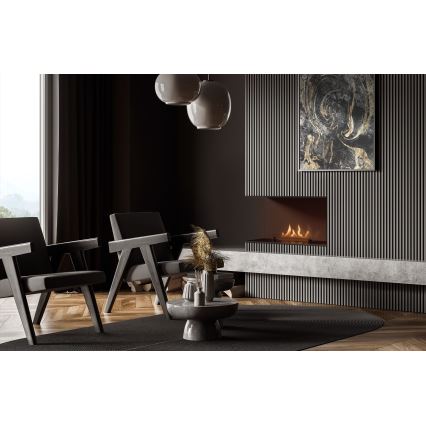 Planika - Vgradni univerzalni BIO kamin z daljinskim upravljalnikom 56,2x75 cm 2,5kW/230V