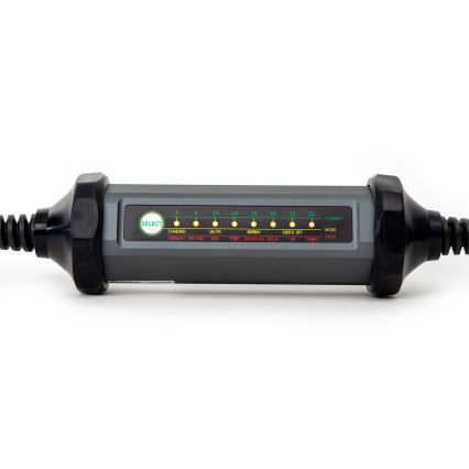 Prenosni polnilec za električne avtomobile s 4 adapterji Tip 2 32A/480V 22kW 7m IP67