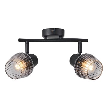 Prezent 14101 - Reflektor OASIS 2xE27/60W/230V črna/dimna
