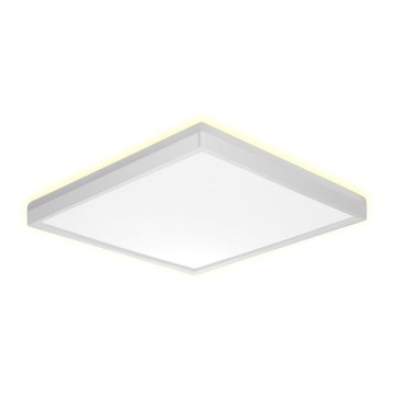 Prezent 27307 - LED Kopalniška stropna svetilka CORDIA SQ LED/18W/230V 3000/6000K IP54 bela
