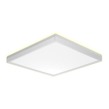 Prezent 27309 - LED Kopalniška stropna svetilka CORDIA SQ LED/24W/230V 3000/6000K IP54 bela