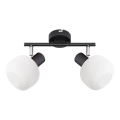 Prezent 27520 - Reflektor ARYA 2xE14/40W/230V črna/bela