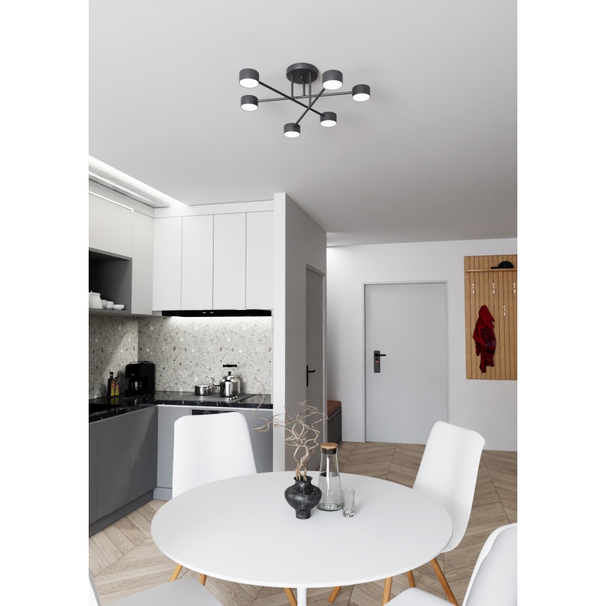 Pritrdjena stropna svetilka HALO 6xGX53/10W/230V črna