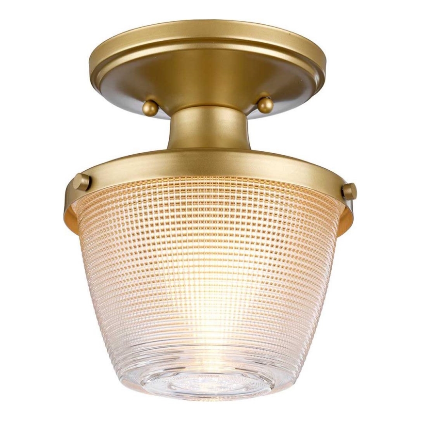 Quoizel - Kopalniška stropna svetilka DUBLIN 1xE27/40W/230V IP44 zlata