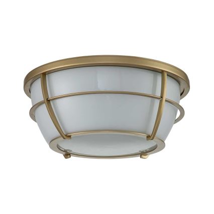 Quoizel - Kopalniška stropna svetilka CHANCE 2xE27/60W/230V IP44