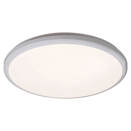 Rabalux - LED Kopalniška stropna svetilka LED/24W/230V IP65