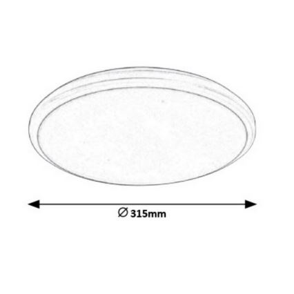 Rabalux - LED Kopalniška stropna svetilka LED/24W/230V IP65 pr. 31,5 cm