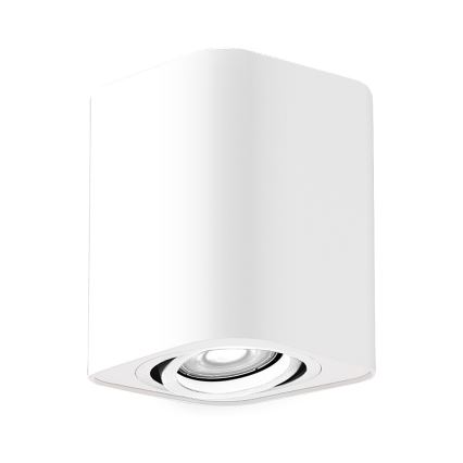 Rabalux - Reflektor 1xGU10/42W/230V bela