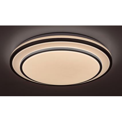 Rabalux - zatemnjevalna LED stropna svetilka LED/40W/230V 3000-6500K srebrna, premer 49 cm + daljinski upravljalnik