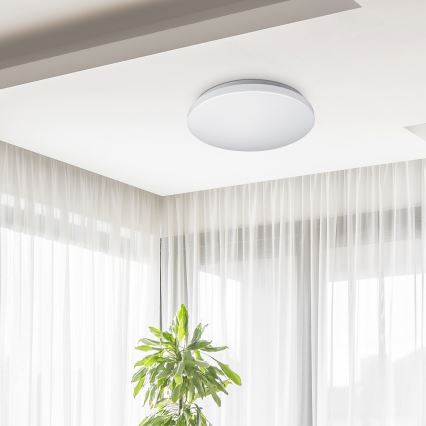 Rabalux - LED Stropna svetilka 1xLED/32W/230V pr. 38 cm