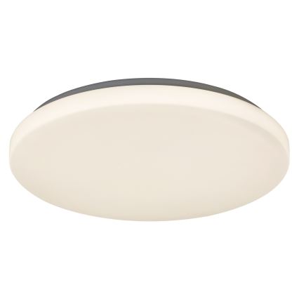 Rabalux - LED Stropna svetilka 1xLED/32W/230V pr. 38 cm