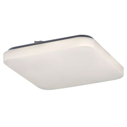 Rabalux - LED Stropna svetilka 1xLED/20W/230V 28x28 cm