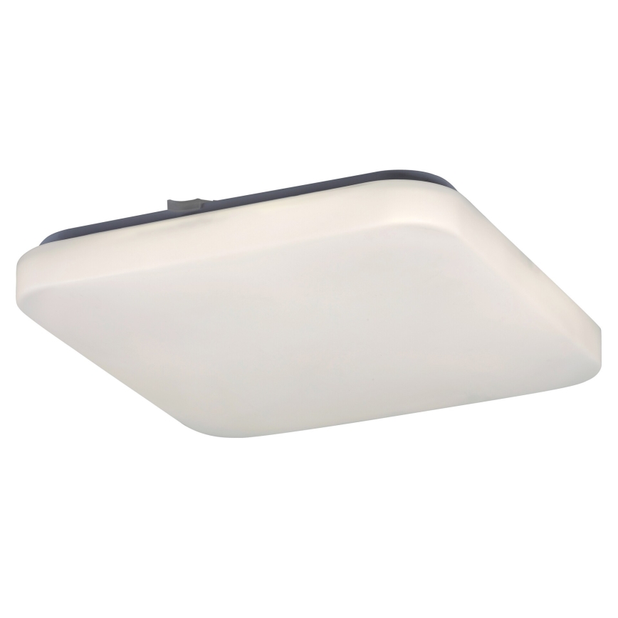 Rabalux - LED Stropna svetilkaLED/20W/230V
