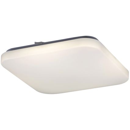 Rabalux - LED stropno svetilo LED/32W/230V 32x32 cm