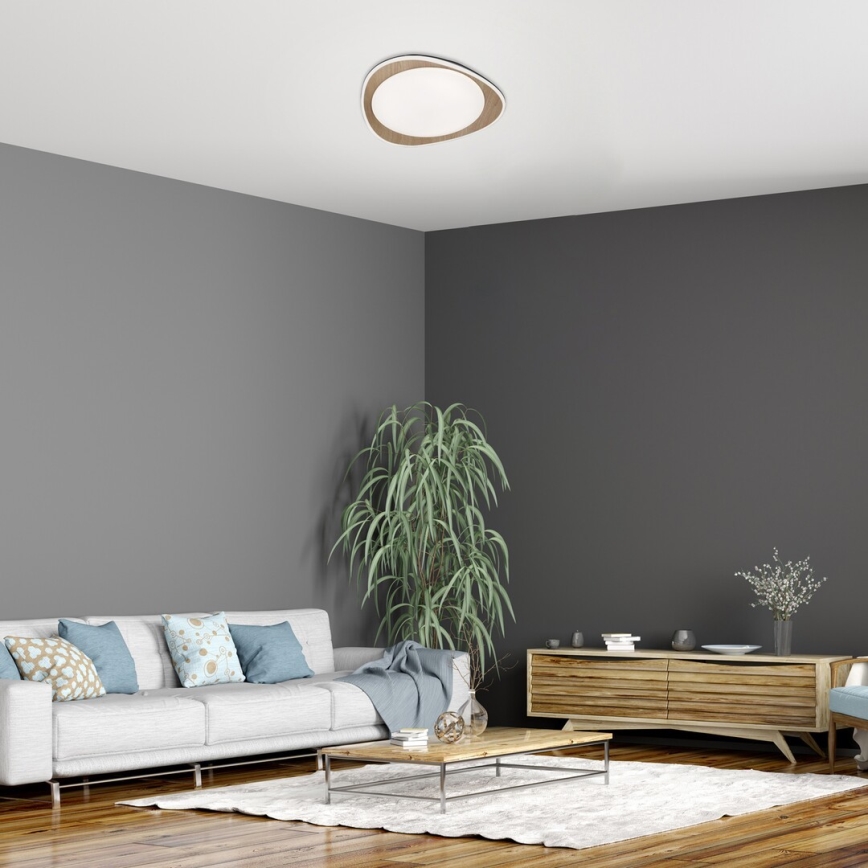 Rabalux - LED stropna svetilka LED/24W/230V