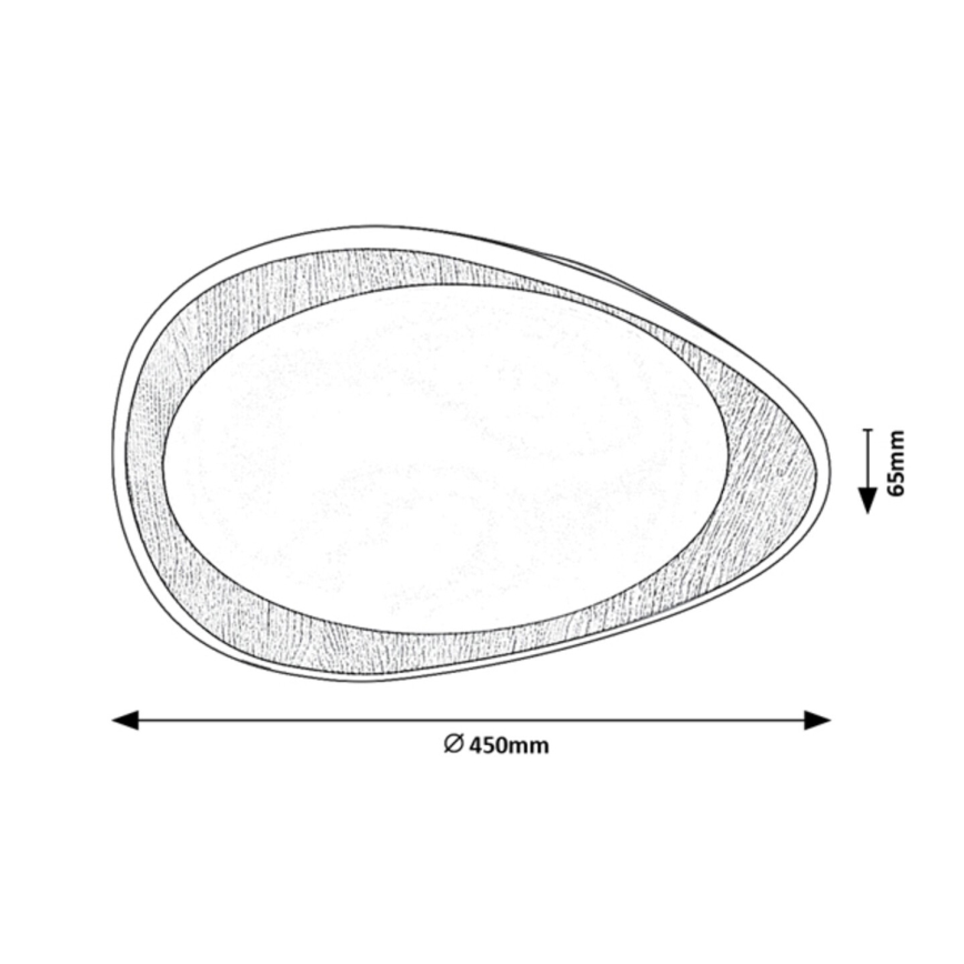 Rabalux - LED stropna svetilka LED/24W/230V