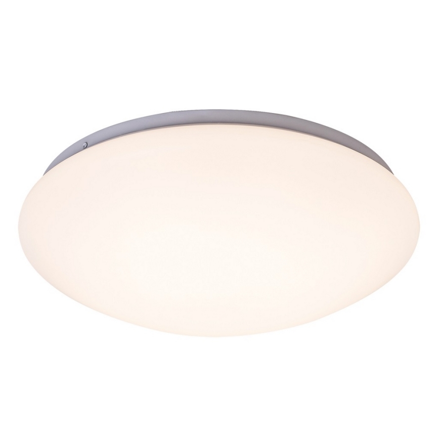 LED Stropna svetilka LUCAS LED/24W/230V