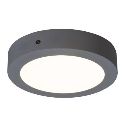 Rabalux - LED Stropna svetilka LED/12W/230V