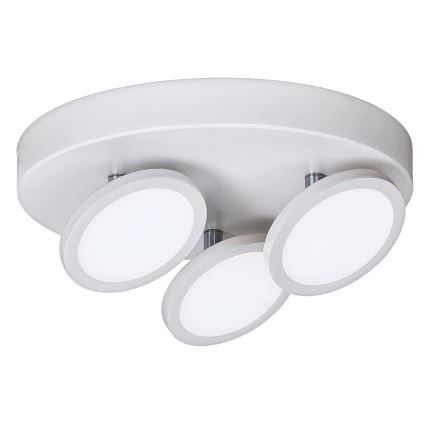 Rabalux - LED Stropna svetilka ELSA 3xLED/6W/230V bela