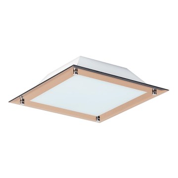 Rabalux 3045 - LED Stropna svetilka LARS 1xLED/12W/230V