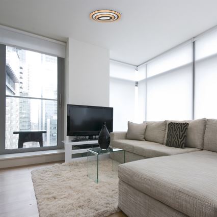 Rabalux - LED stropna svetilka z možnostjo zatemnitve LED/41W/230V + daljinski upravljalnik, premer 53 cm