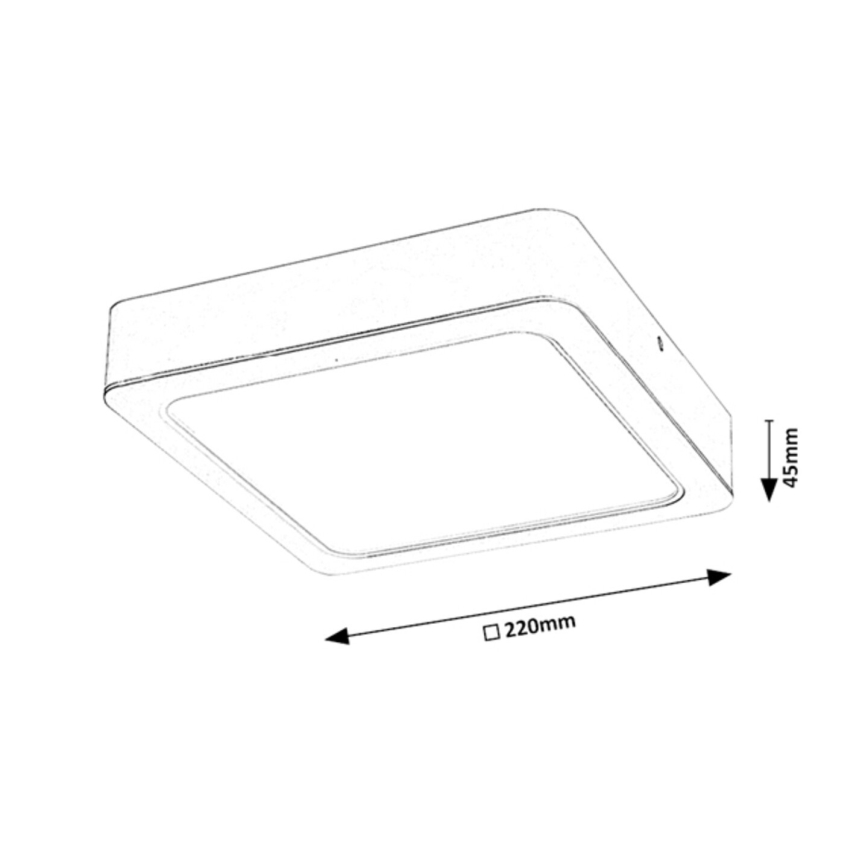 Rabalux - LED Stropna svetilka LED/24W/230V 22x22 cm