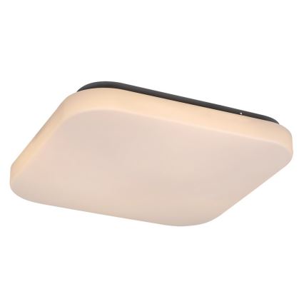 Rabalux - LED Stropna svetilka 1xLED/20W/230V 29x29 cm