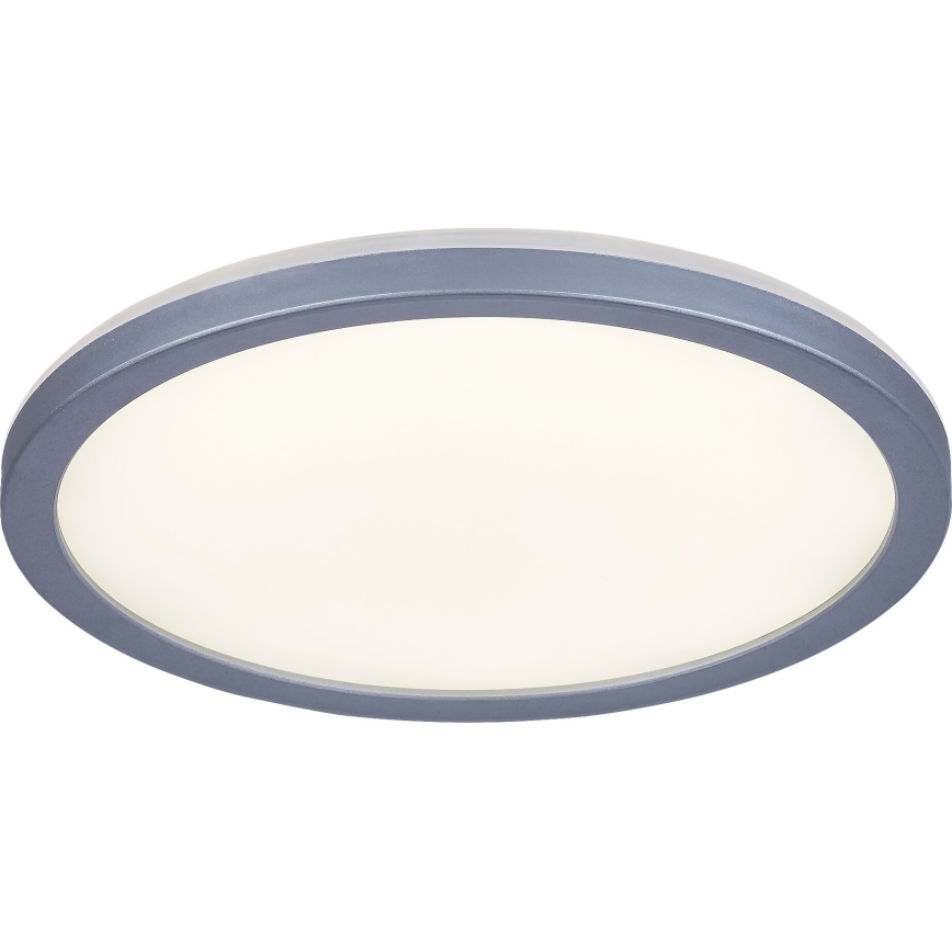 Rabalux - LED Kopalniška stropna svetilka LED/15W/230V IP44