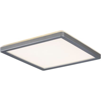 Rabalux - LED Kopalniška stropna svetilka LED/15W/230V IP44