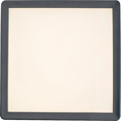 Rabalux - LED Kopalniška stropna svetilka LED/15W/230V IP44