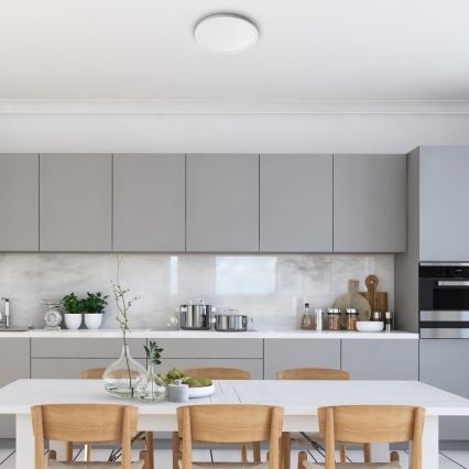 Rabalux - LED stropna svetilka LED/18W/230V premer 29,3 cm