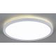 LED Zatemnitvena stropna svetilka PAVEL LED/22W/230V