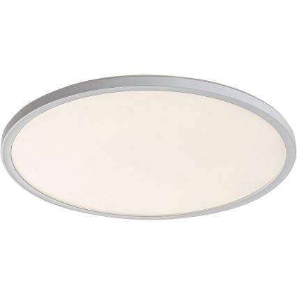 Rabalux - zatemnjiva LED stropna svetilka LED/22W/230V, premer 42 cm