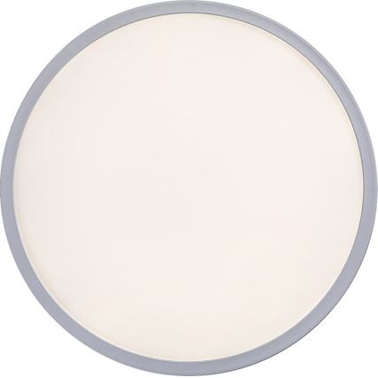 Rabalux - zatemnjiva LED stropna svetilka LED/22W/230V, premer 42 cm