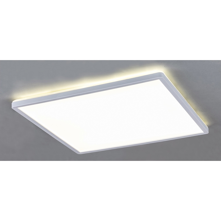 Rabalux - LED Zatemnitvena stropna svetilka LED/22W/230V